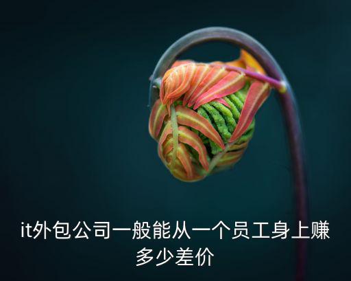 it外包公司一般能從一個員工身上賺多少差價