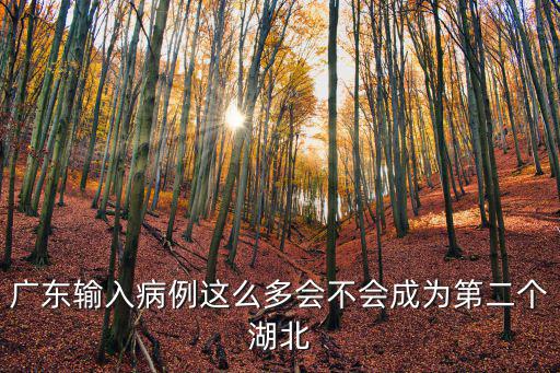 廣東目前有多少輸入病例,廣東境外輸入的病例多了