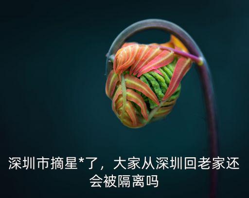 從深圳回靈丘怎么回,從深圳回陜西過年