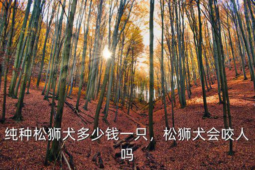 泰安烈性犬多少錢一只,純種松獅犬多少錢一只