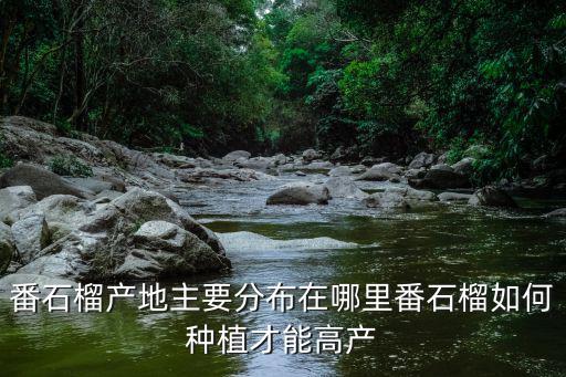 肇慶番石榴林在哪里,番石榴產地主要分布在哪里