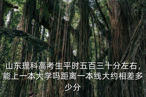 山東一本大學最低本科分數線是多少分,能上一本大學嗎