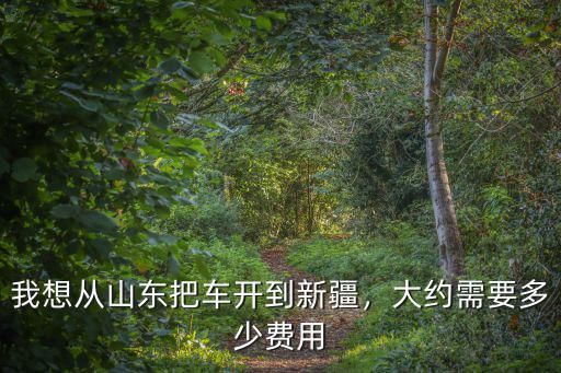 大慶到開車去山東大約多少錢,我想從山東把車開到新疆