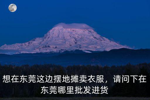 東莞地攤服飾批發(fā)市場在哪里,東莞有哪些服裝批發(fā)市場