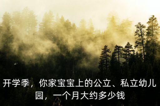 開學季，你家寶寶上的公立、私立幼兒園，一個月大約多少錢