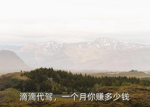 滴滴代駕，一個(gè)月你賺多少錢