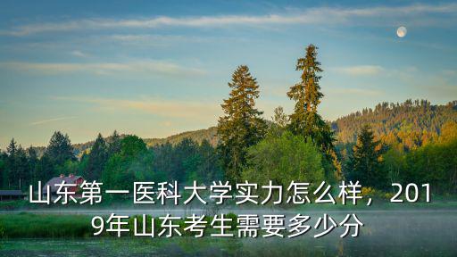 山東影像醫學需要高考多少分,臨床需要多少分