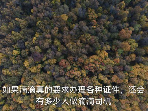 如果滴滴真的要求辦理各種證件，還會(huì)有多少人做滴滴司機(jī)