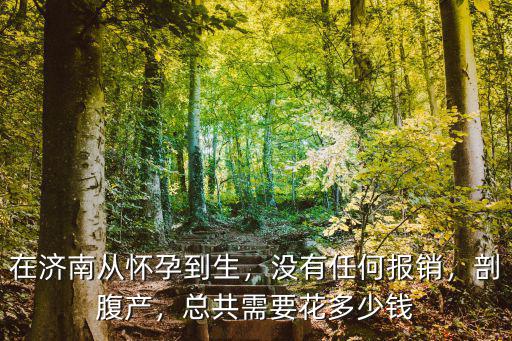 在濟南從懷孕到生，沒有任何報銷，剖腹產，總共需要花多少錢