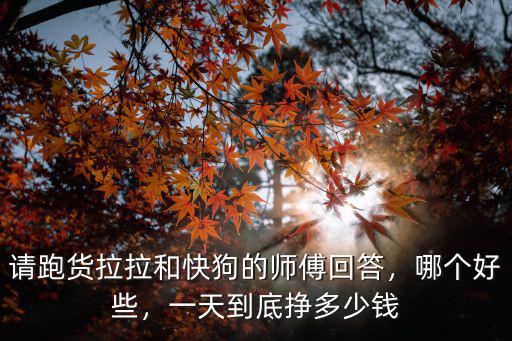 請跑貨拉拉和快狗的師傅回答，哪個好些，一天到底掙多少錢