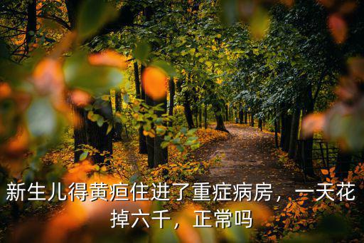 新生兒得黃疸住進了重癥病房，一天花掉六千，正常嗎