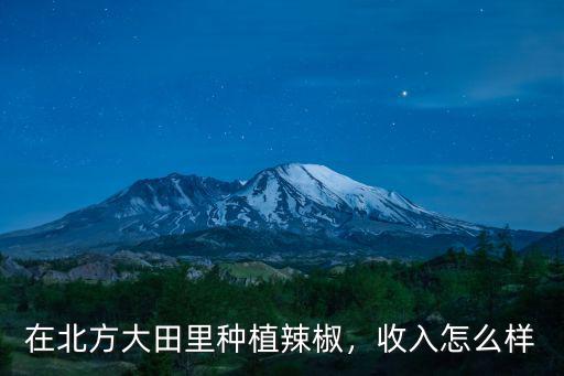 在北方大田里種植辣椒，收入怎么樣