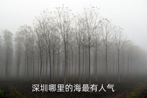 深圳哪里有百花爭艷,深圳哪里的海最有人氣