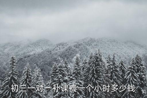 初三一對一補課費一個小時多少錢