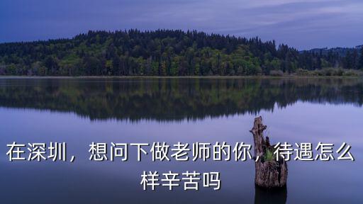 在深圳，想問下做老師的你，待遇怎么樣辛苦嗎