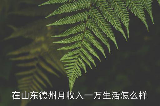 在山東德州月收入一萬生活怎么樣