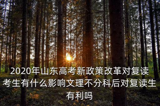 2020山東有多少復讀生,文理不分科后對復讀生有利嗎