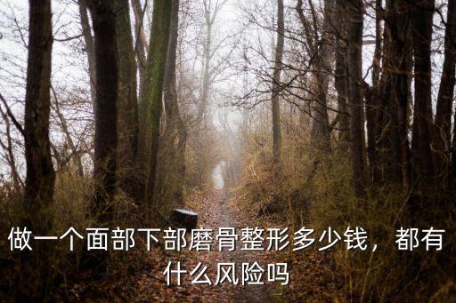 做一個面部下部磨骨整形多少錢，都有什么風(fēng)險嗎