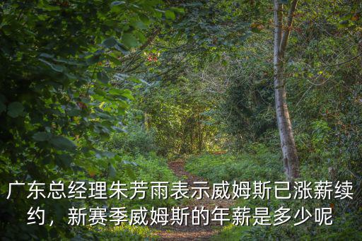 廣東東莞外援維姆斯年薪多少,威姆斯回歸廣東
