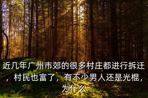 近幾年廣州市郊的很多村莊都進行拆遷，村民也富了，有不少男人還是光棍，為什么