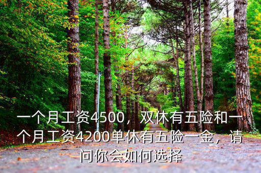 一個月工資4500，雙休有五險和一個月工資4200單休有五險一金，請問你會如何選擇