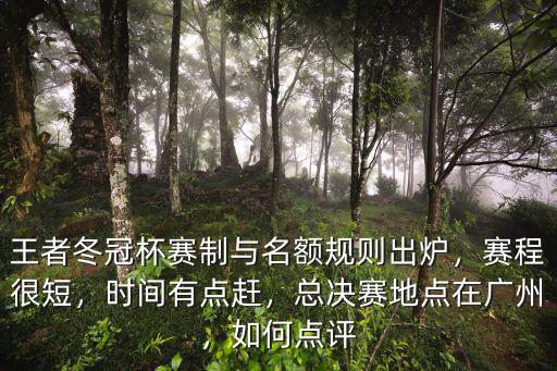 王者冬冠杯賽制與名額規則出爐，賽程很短，時間有點趕，總決賽地點在廣州，如何點評