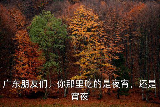 廣東朋友們，你那里吃的是夜宵，還是宵夜