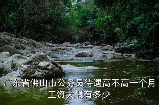 佛山市公務員年薪多少,佛山正科級公務員年薪多少