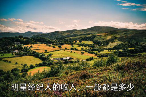 山東明星經(jīng)紀人多少錢,做藝人經(jīng)紀到底能賺多少錢