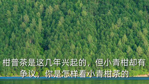 江門哪里有小青柑茶,你覺得小青柑茶好喝嗎
