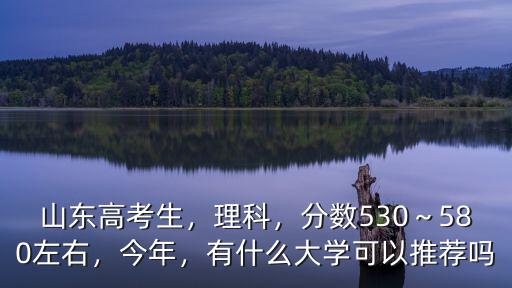 山東高考生，理科，分?jǐn)?shù)530～580左右，今年，有什么大學(xué)可以推薦嗎