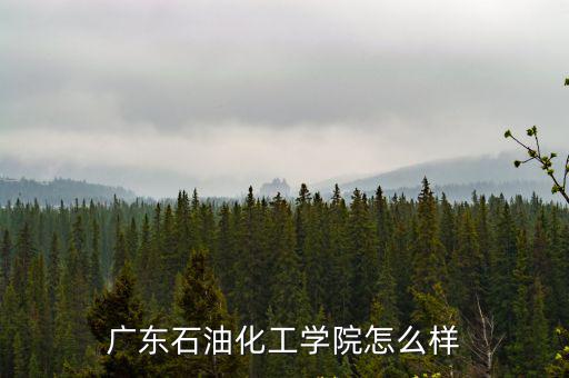 廣東石油化工學(xué)院藝術(shù)系怎么樣,廣東石油化工學(xué)院怎么樣