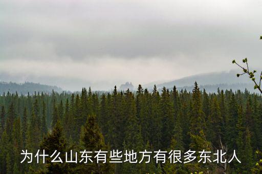 為什么山東有些地方有很多東北人