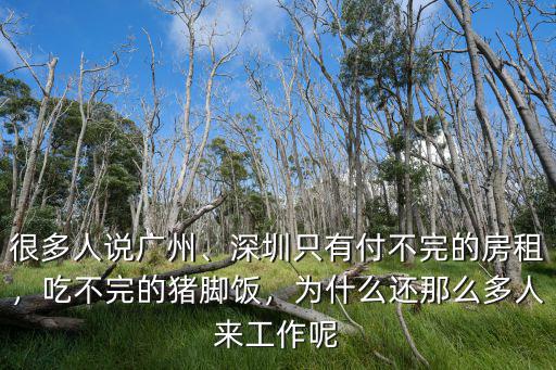 很多人說廣州、深圳只有付不完的房租，吃不完的豬腳飯，為什么還那么多人來工作呢