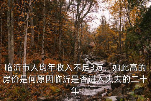 臨沂市的人均收入是多少,臨沂市人均年收入不足3萬