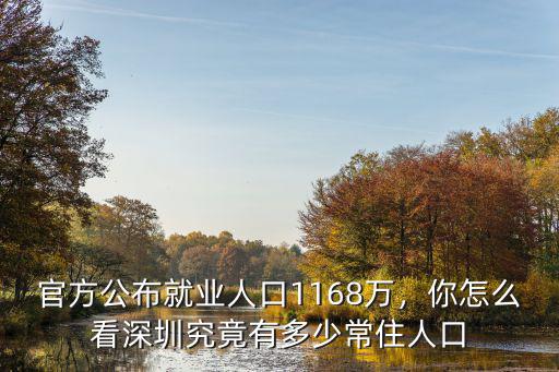 深圳譚氏有多少人口,深圳有多少人口