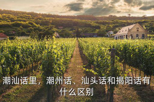 潮汕話里，潮州話、汕頭話和揭陽話有什么區別