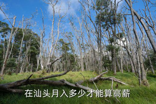 在汕頭月入多少才能算高薪