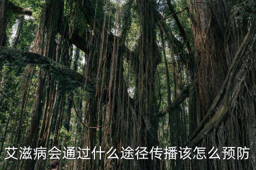深圳艾滋病怎么傳染,艾滋病會通過什么途徑傳播