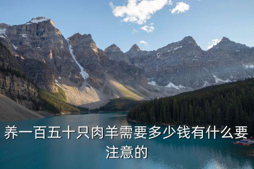 養一百五十只肉羊需要多少錢有什么要注意的