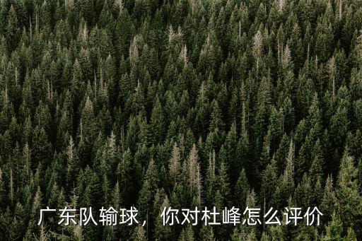 廣東隊輸球，你對杜峰怎么評價