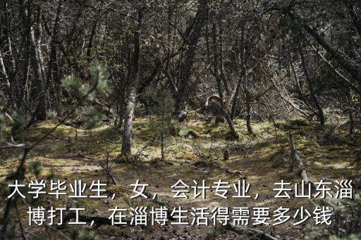 大學畢業生，女，會計專業，去山東淄博打工，在淄博生活得需要多少錢