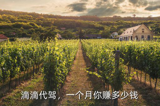 滴滴代駕，一個月你賺多少錢