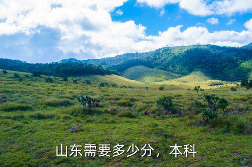 山東學(xué)生考多少分才能上本科,在山東能上普通本科嗎