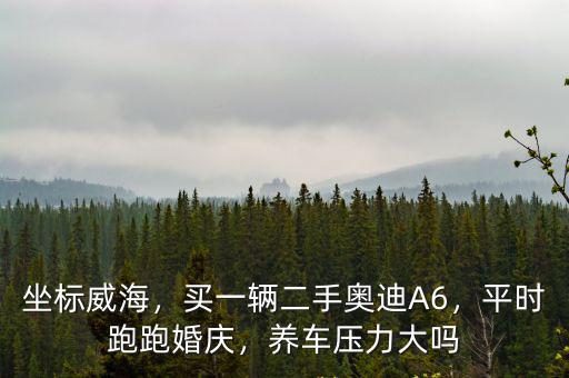 坐標威海，買一輛二手奧迪A6，平時跑跑婚慶，養車壓力大嗎
