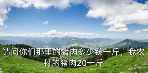 汕尾梅隴豬肉多少錢(qián)一斤,我農(nóng)村的豬肉20一斤