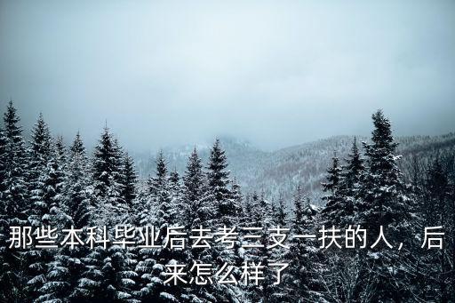 廣東省三支一扶的人后來去了哪里,廣東三支一扶的報名情況怎樣