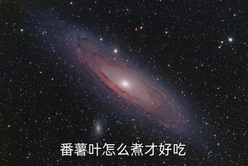 番薯葉怎么煮才好吃