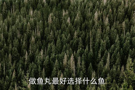 廣東哪里的魚肉丸做的最好,如何讓廣東魚肉丸有彈性