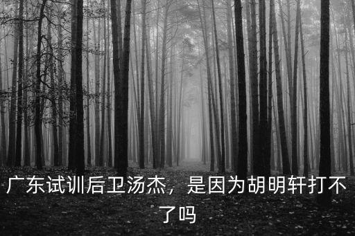 廣東試訓后衛湯杰，是因為胡明軒打不了嗎